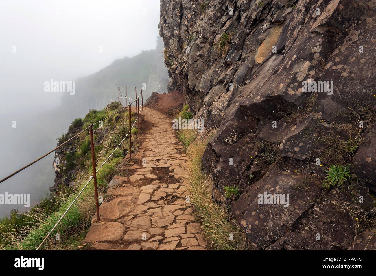 Wanderweg PR1 Vereda do Areeiro im Nebel, von Pico do Arieiro nach Pico Ruivo, Madeira, Portugal Stockfoto