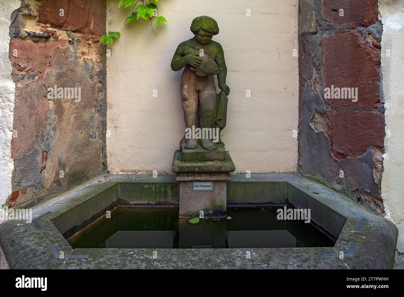 Brunnenfigur, Junge mit Fisch in einem historischen Innenhof der Altstadt, Nürnberg, Mittelfranken, Bayern, Deutschland Stockfoto