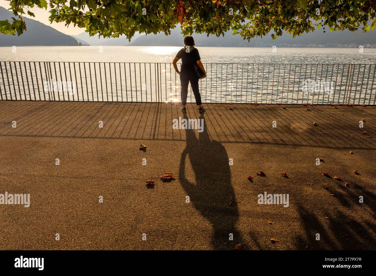 Frau mit Schatten unter einem wunderschönen Baum mit Zweig am Ufer mit Geländer zum Luganer See mit Berg an einem sonnigen Sommertag in Stockfoto