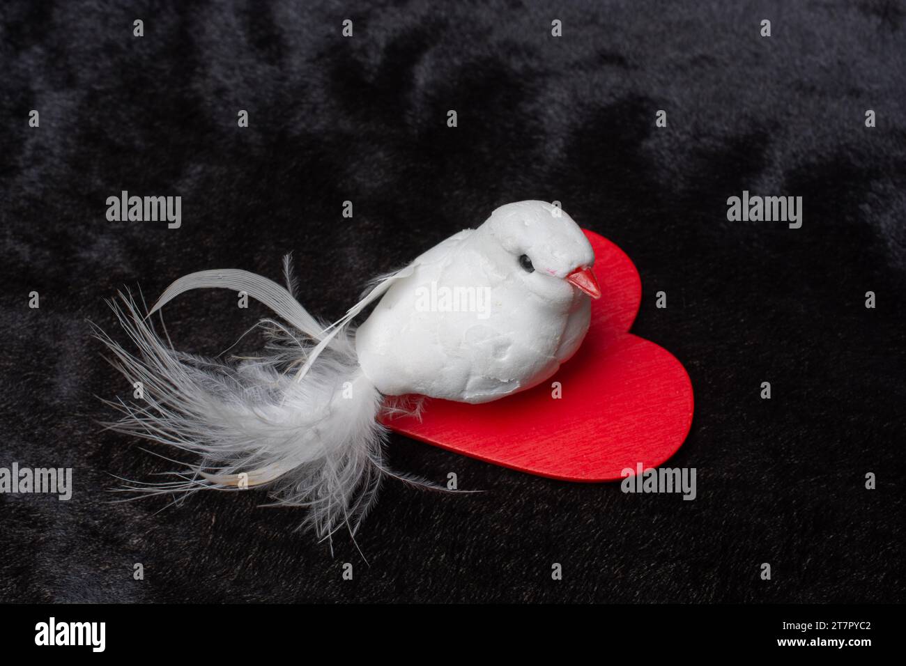Fake Vogel hält kleine Herz-Symbol auf dunklem Hintergrund Stockfoto