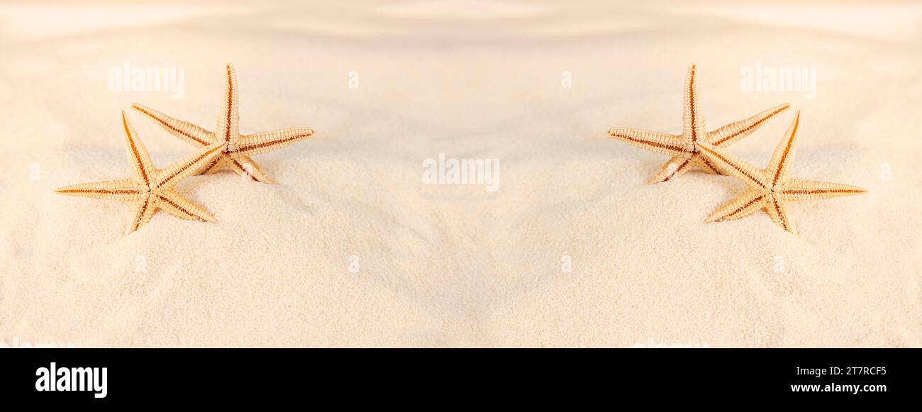 Orange Seesterne mit Sandwellen am Strand. Urlaub, Entspannung, Reisen in dunkle Länder. Banner. Mit Platz für Text oder Produkt. Kopierbereich Stockfoto