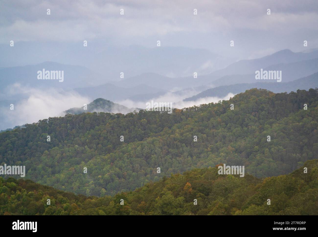Der Blue Ridge Parkway, die berühmte Straße, verbindet den Shenandoah