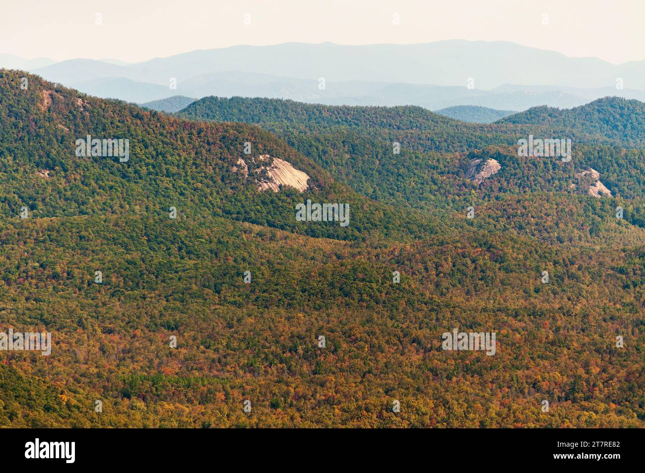 Herbstlaub am Blue Ridge Parkway Stockfoto