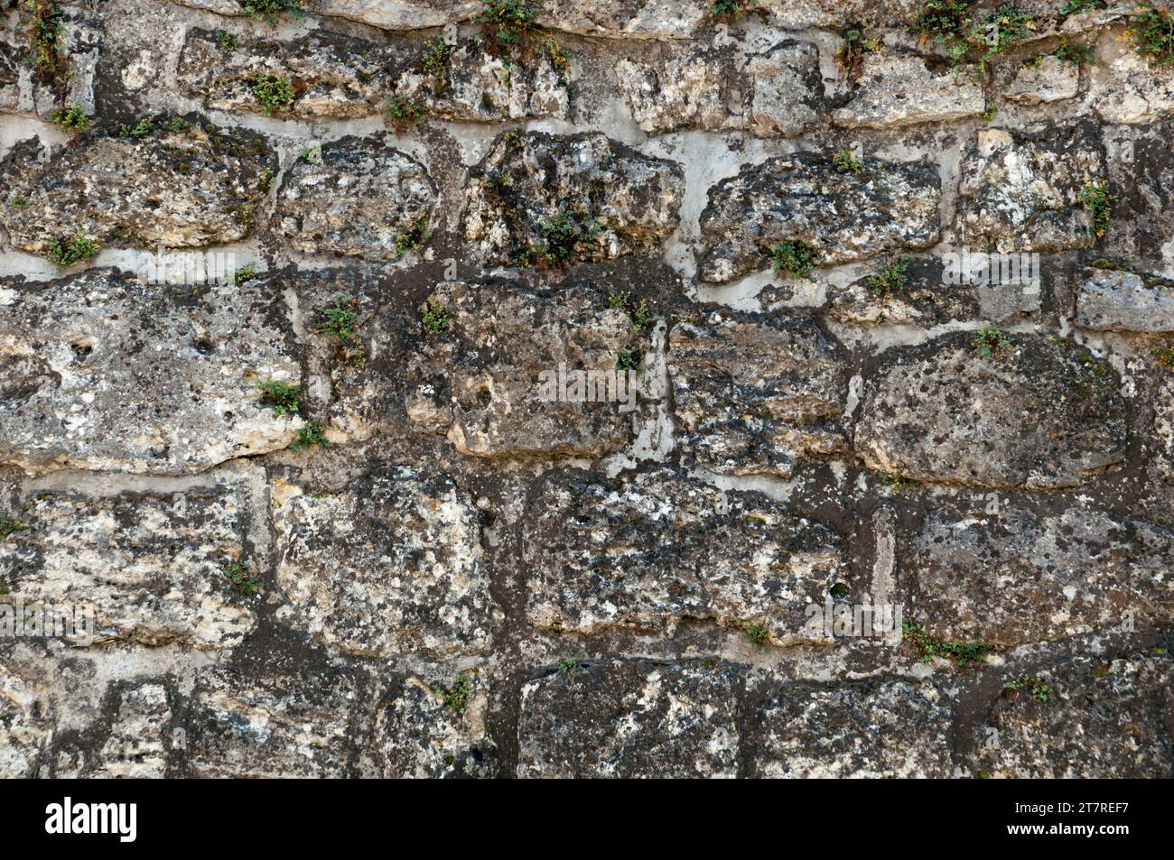 Eine Großaufnahme einer alten und moosigen Mauer mit Kalksteinmauerwerk in Deutschland Stockfoto