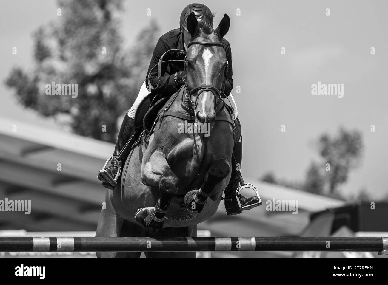 Pferdespringen, Schauspiel-Jumping-Foto. Stockfoto