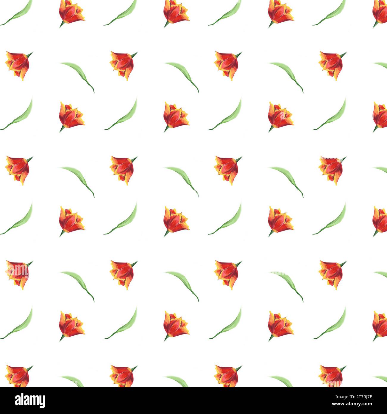Aquarellrote Tulpenknospen und grüne Blätter nahtloses Muster. Handgezeichnete Illustration mit bunten Frühlingsblumen für Textildesign oder Geschenkpapier Stockfoto