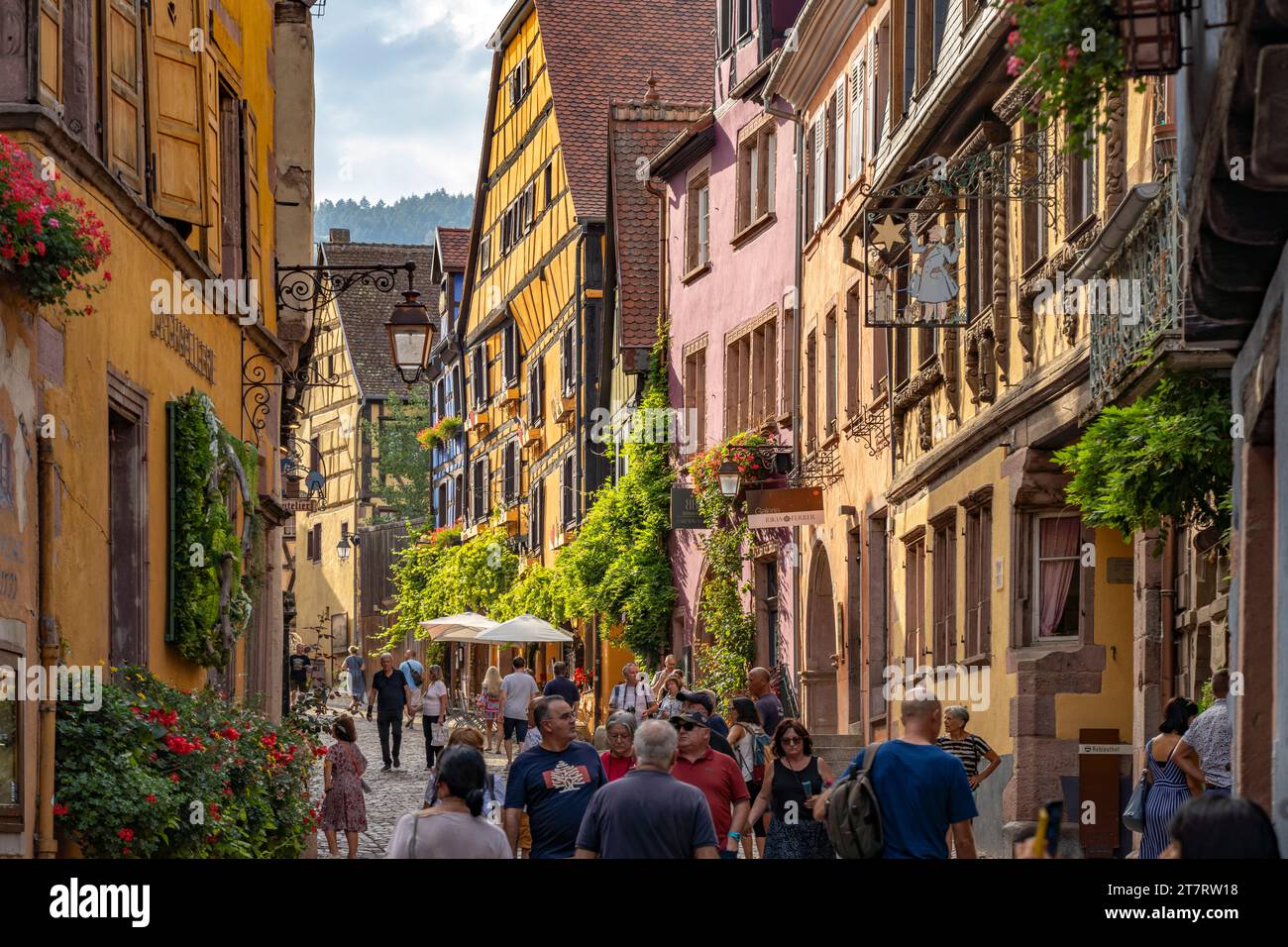 Die historische Altstadt von Riquewihr, Elsass, Frankreich | die historische Altstadt von Riquewihr, Elsass, Frankreich Stockfoto