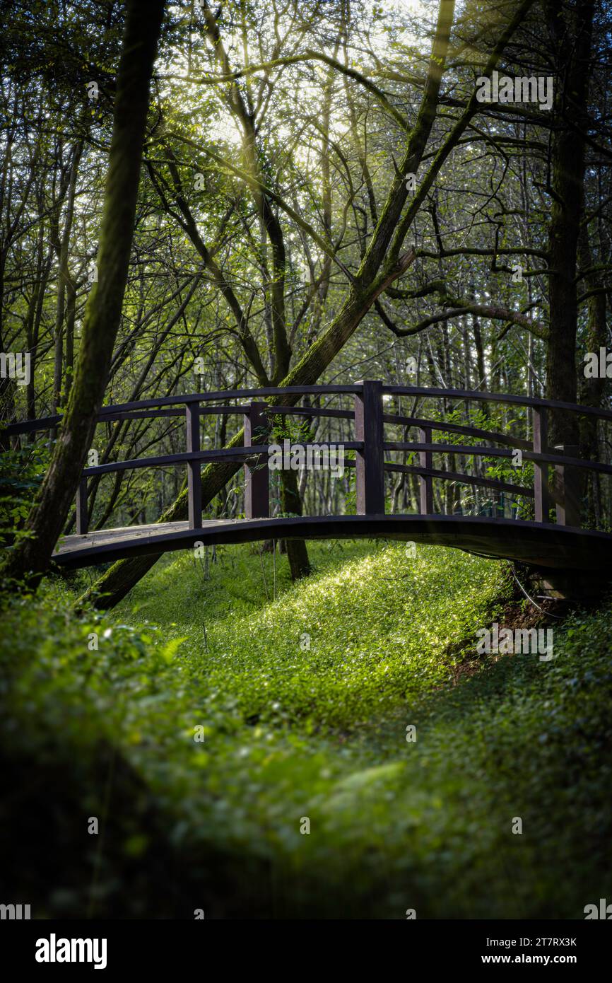 Brücke der Liebhaber. Musikerpark in Shekvetili. Stockfoto