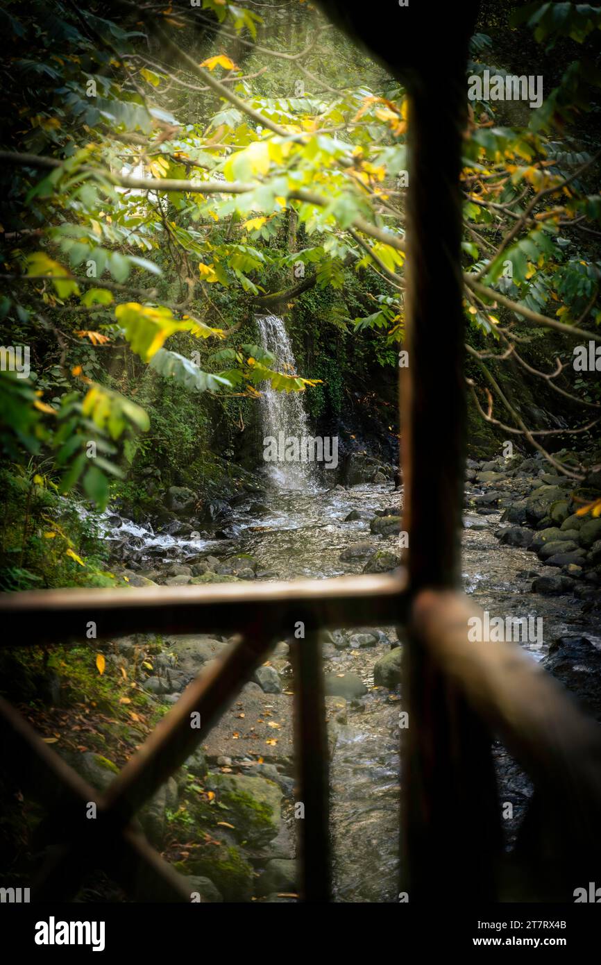 Bergfluss in den Bergen von Adjara. Kleiner Wasserfall. Restaurant in den Bergen. Der Fluss, in dem Forellen leben. Stockfoto