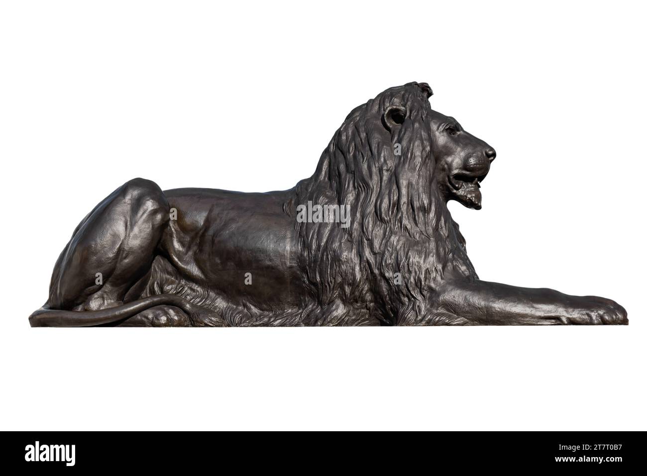 Einer der vier Löwen auf dem Trafalgar Square, der die Nelson's Column umgibt, ist allgemein als „Landseer Lions“ bekannt, isoliert auf weißem Hintergrund Stockfoto