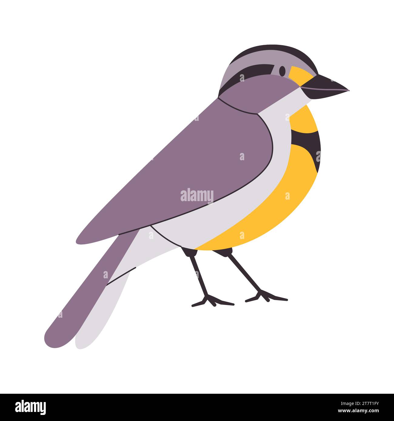 westliche Wiesenlarke mit gelber und schwarzer Farbe kleines schönes wildes Naturtier songbird lebt in nordamerika Stock Vektor