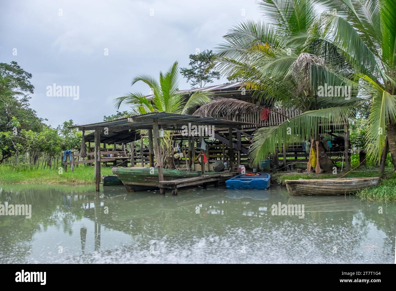 Pier am Ufer des Tortuguero-Kanals in Costa Rica Stockfoto