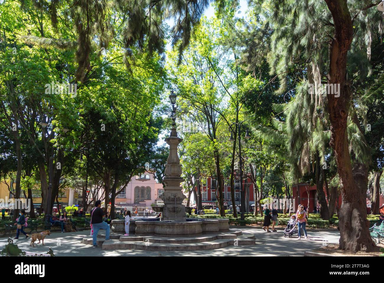 Mexiko-Stadt, CDMX, Mexiko, Ein Brunnen am Jardín Centenario im Stadtteil Coyoacan von Mexiko-Stadt, nur Editorial. Stockfoto