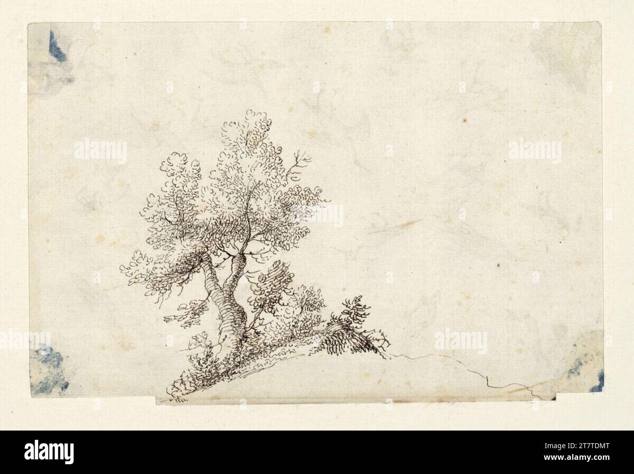 Albert Flamen Baum und Büsche. Feder in Braun Stockfoto