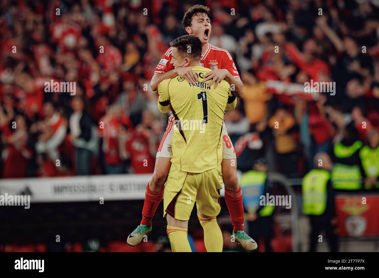 Joao Neves und Anatoliy Trubin feierten 23/24 beim Spiel zwischen SL Benfica und Sporting CP im Estadio da Luz, Lissabon, Portugal. ( Stockfoto