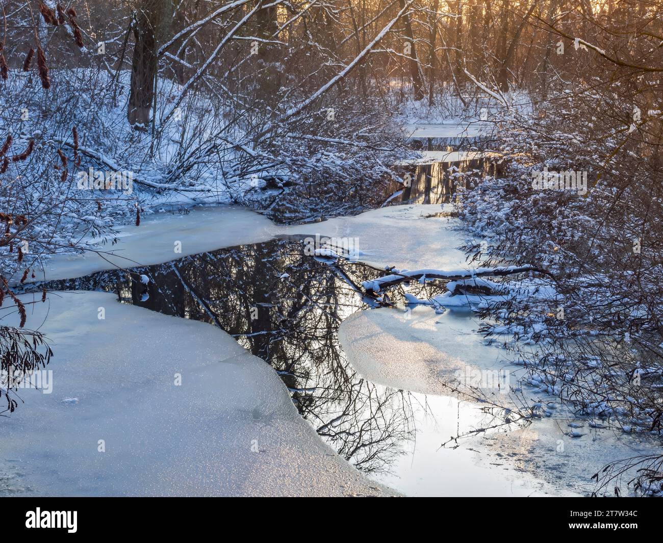 Gefrorener Fluss im magischen Winterwald. Winterlandschaft im Freien Stockfoto