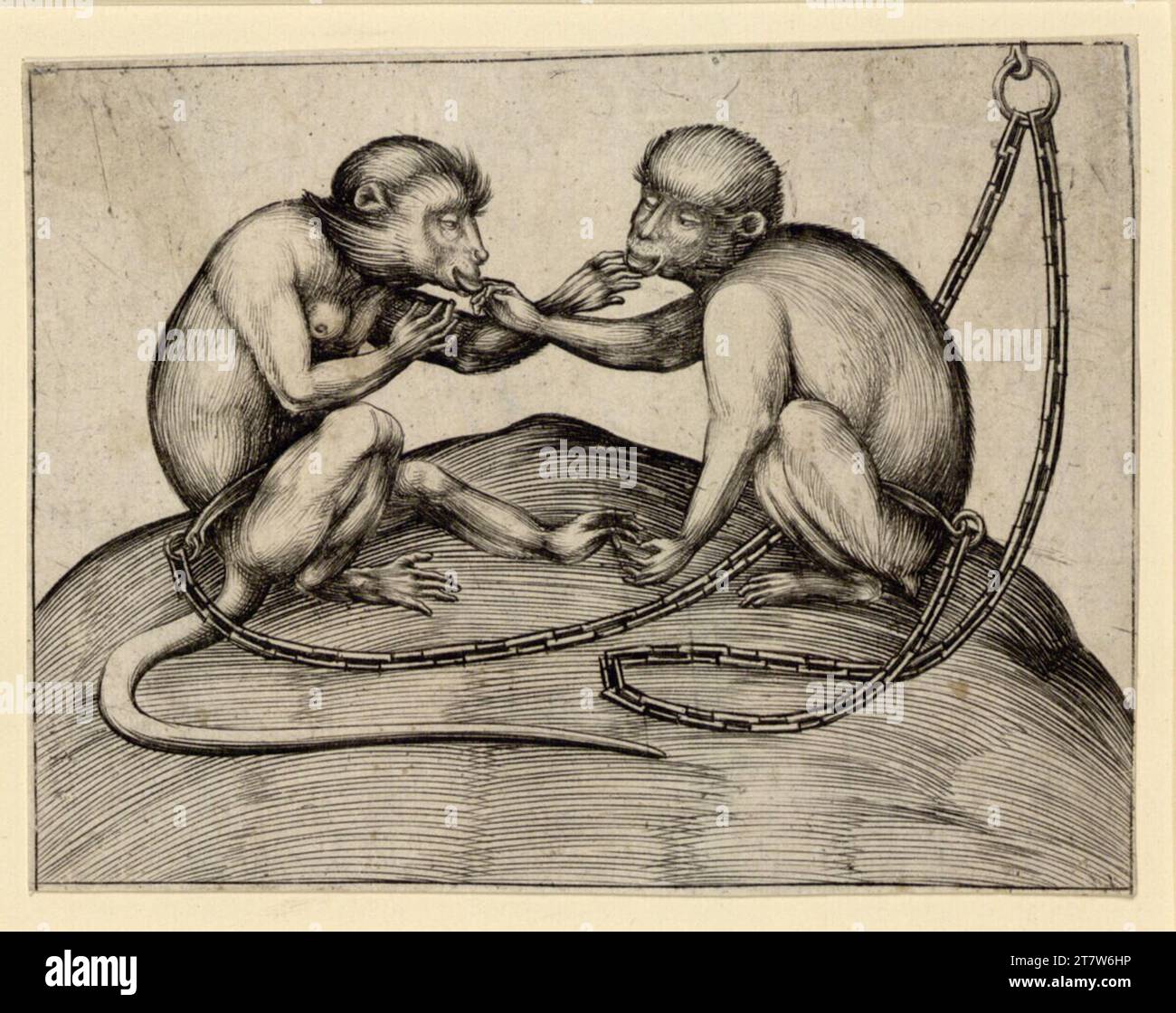 Israhel van Meckenem zwei Affen sitzen einander gegenüber auf einem Hügel. Kupferstich letztes Drittel des 15. Centurys Stockfoto