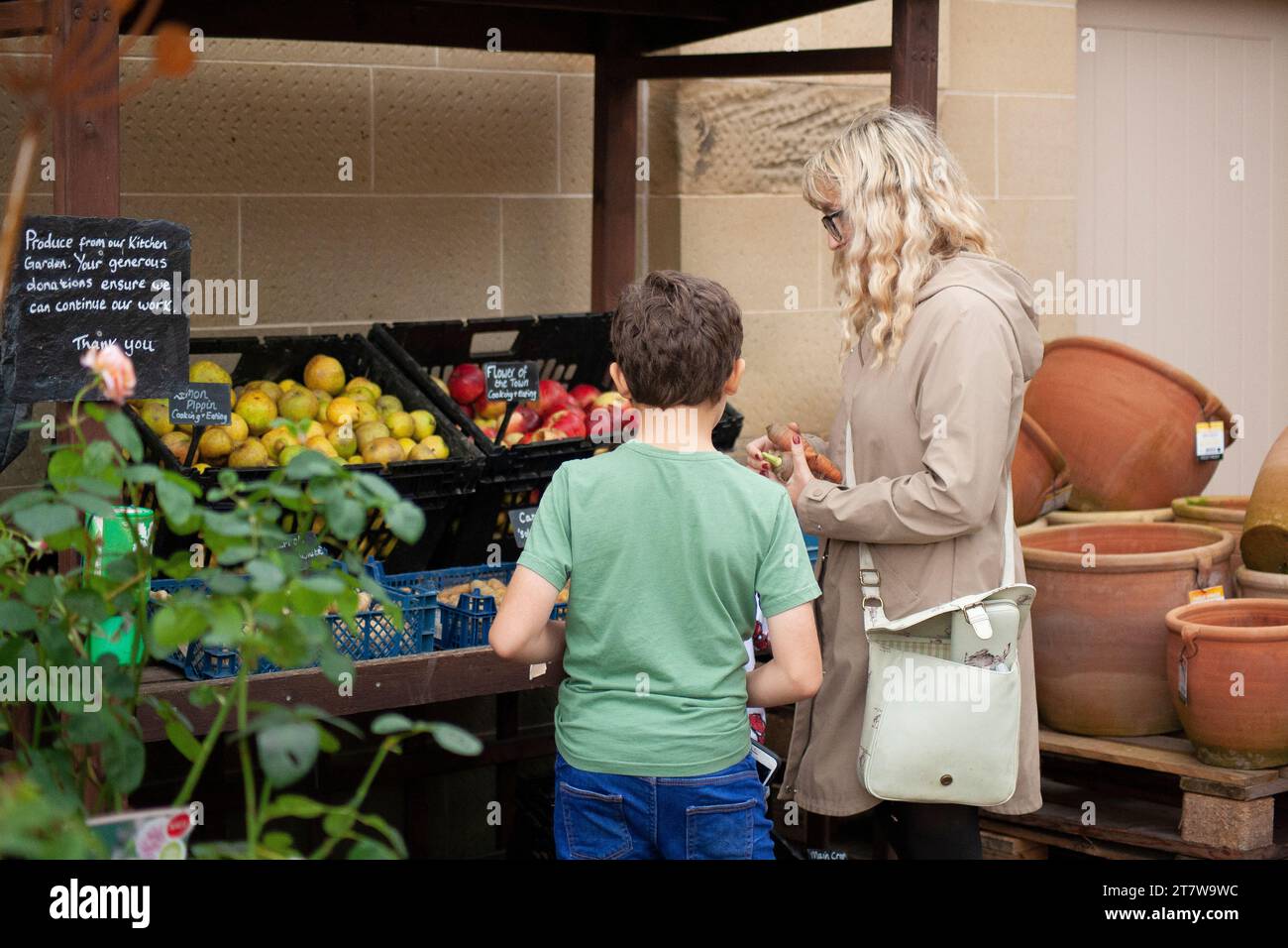 Market Treasures: Eine junge Mutter und ihr Kind erkunden den Charme eines englischen Marktstandes und stöbern dabei herrlich durch eine Auswahl an lokalen britischen Produkten Stockfoto