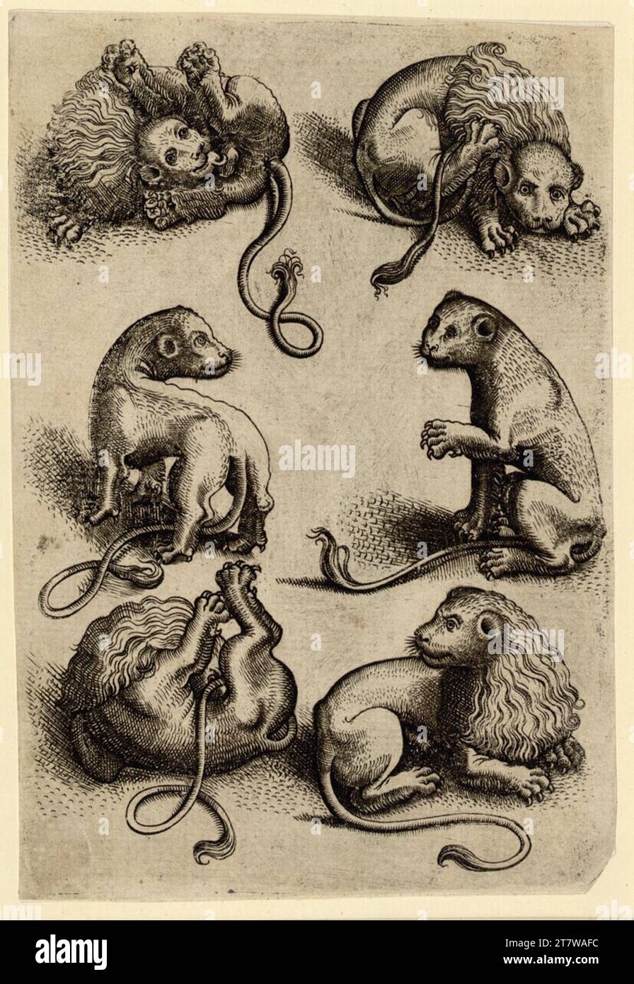 Meister des heiligen Sebastian sechs Löwen. Kupferstich 1460-1480 , 1460/1480 Stockfoto