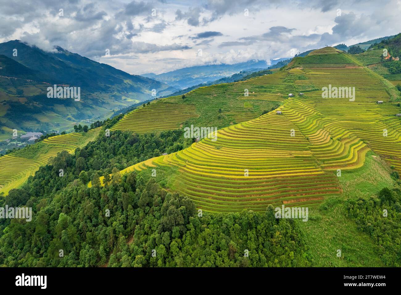 Aus der Vogelperspektive auf das Reisterrassenfeld von La Pan Tan in der Nähe von Sapa, Vietnam Stockfoto