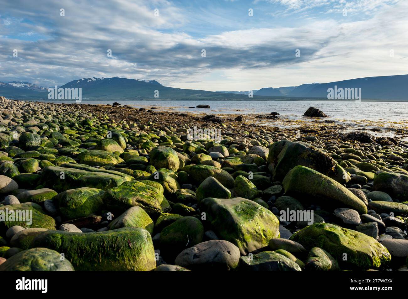 Landschaft in der Nähe von Akureyri, Island Stockfoto