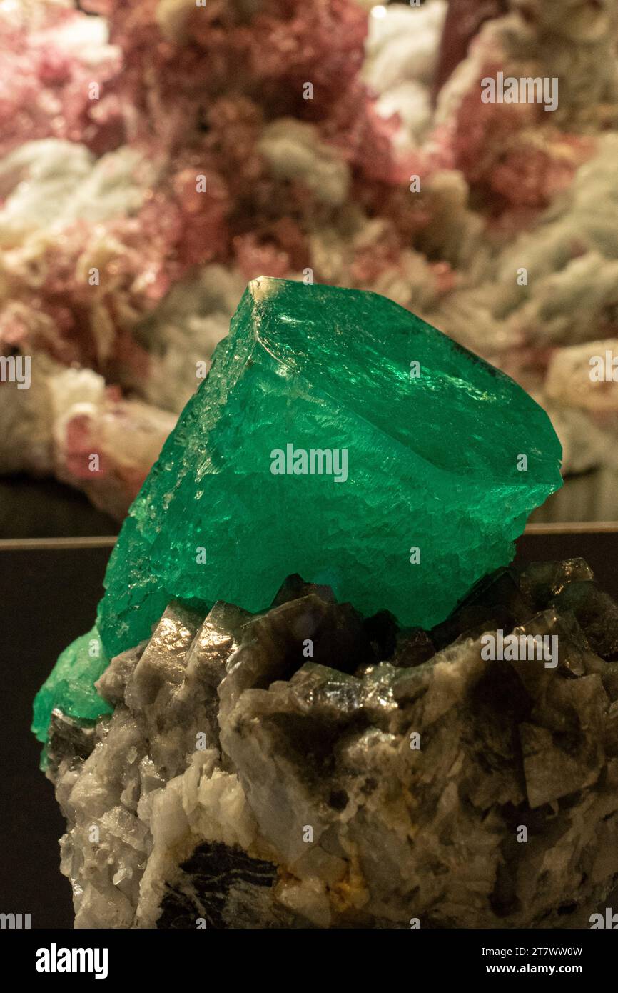 Smaragdkristall auf Calcit, aus dem Muzo District in Kolumbien, angeboten von The Collector's Edge für 4,2 Millionen US-Dollar auf der Tucson Gem & Minerals Show, AZ Stockfoto