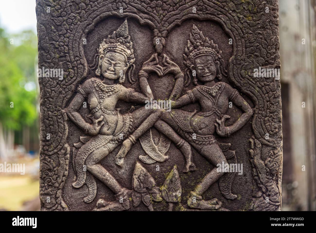 Geschnitzte Darstellungen von devata Angkor Wat, Kambodscha Stockfoto