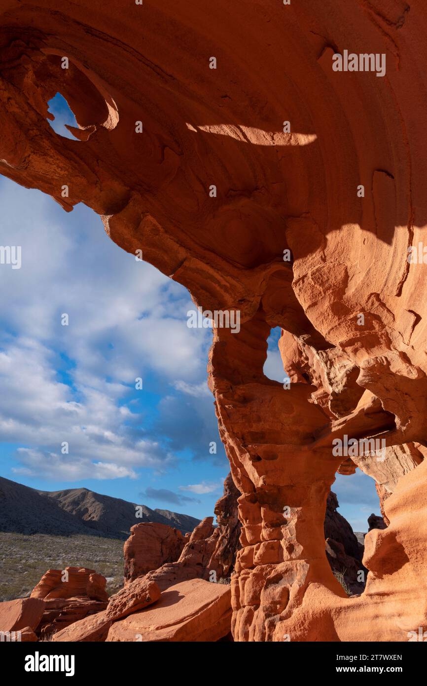 Unzählige Bögen im Valley of Fire State Park, Nevada Stockfoto