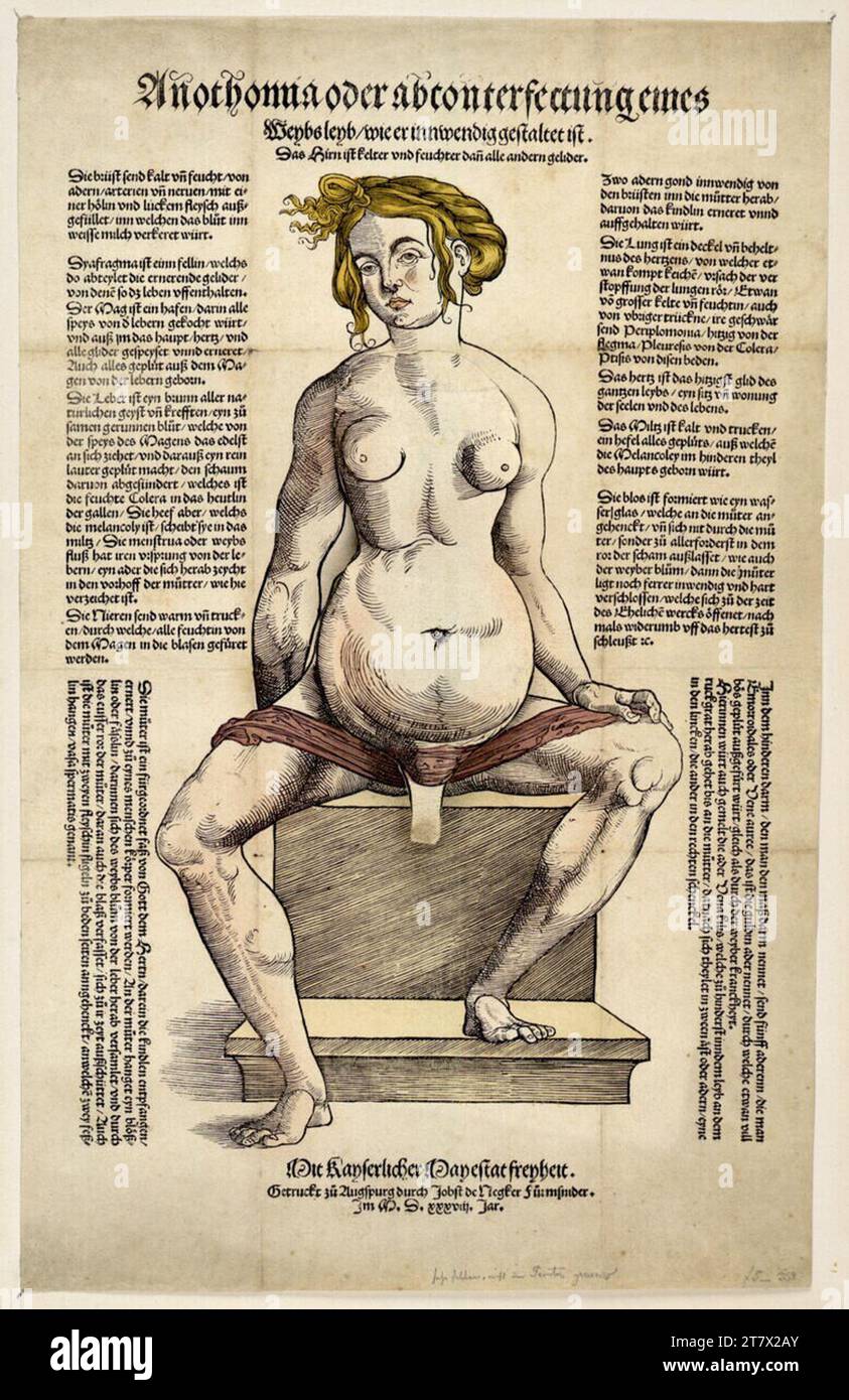 Heinrich Vogtherr d. Ä. Anatomische Darstellung des weiblichen Körpers. Holzschnitt, teilweise gefärbt 1538, 1538 Stockfoto