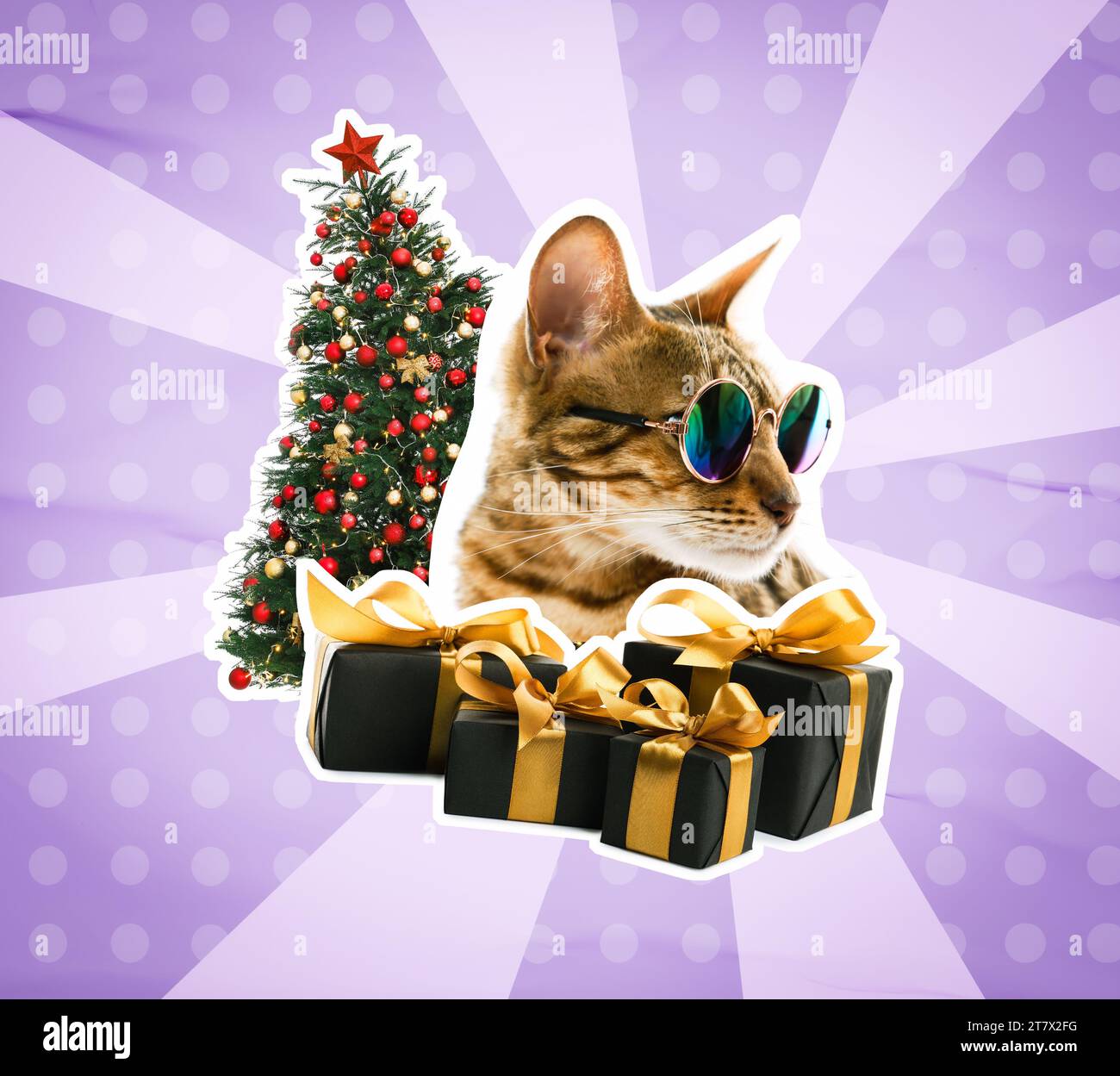 Kreative Collage. Katze in Sonnenbrille und Geschenkboxen in der Nähe des Weihnachtsbaums vor farbigem Hintergrund Stockfoto