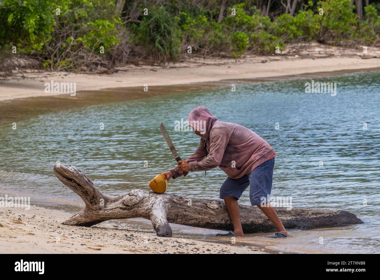 Einheimischer Mann, der eine Kokosnuss auf den kleinen Inseln des Naturschutzhafens in Wayag Bay, Raja Ampat, Indonesien, Südostasien, Asien zerkleinert Stockfoto