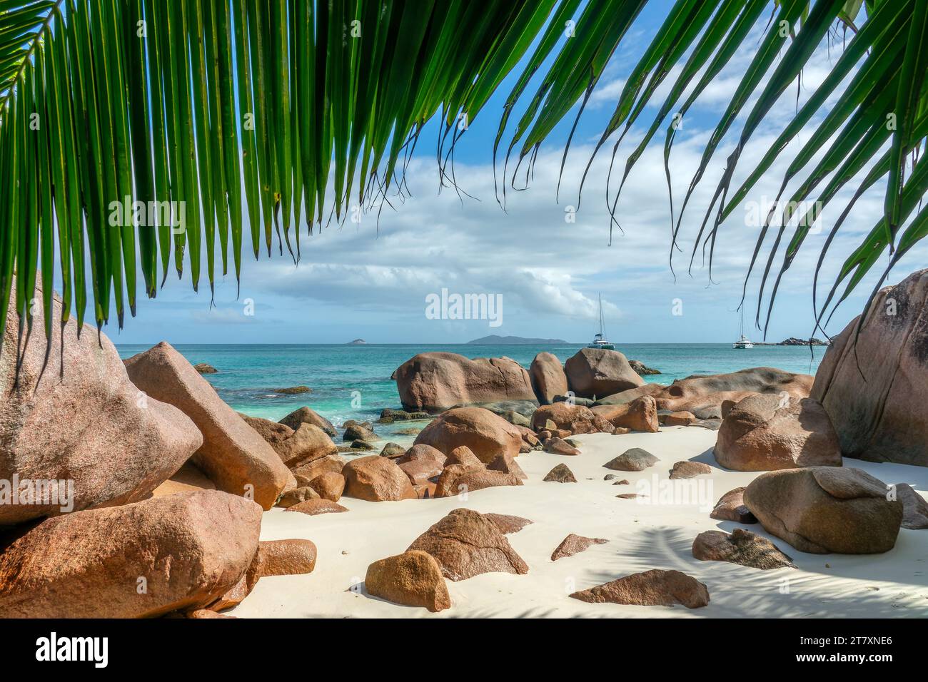 Palmen und Granitfelsen in Anse Lazio, malerischer Strand auf Praslin Island, Seychellen Stockfoto