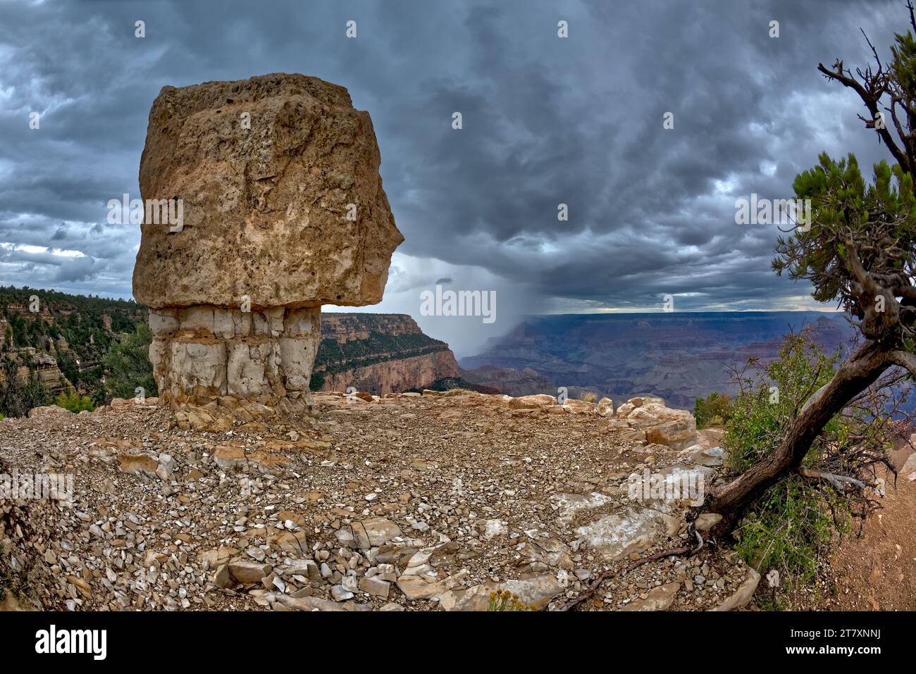 Sturm nähert sich Shoshone Point am Südrand, Grand Canyon National Park, Arizona, Vereinigte Staaten von Amerika, Nordamerika Stockfoto