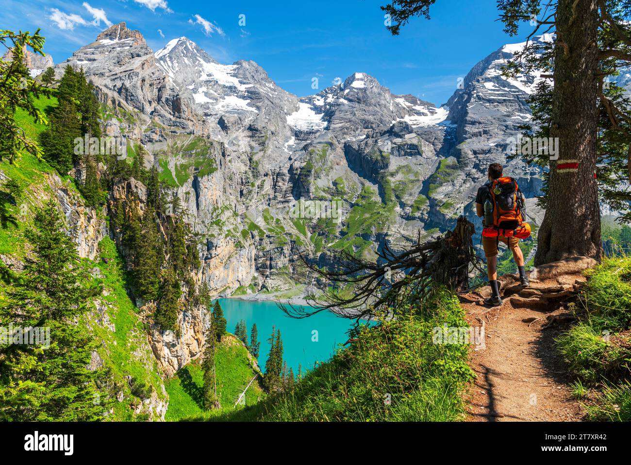 Rückansicht eines Wanderers, der auf dem Weg im Wald um den Oeschinensee steht, Oeschinensee, Kandersteg, Kanton Bern, Schweiz, Europa Stockfoto