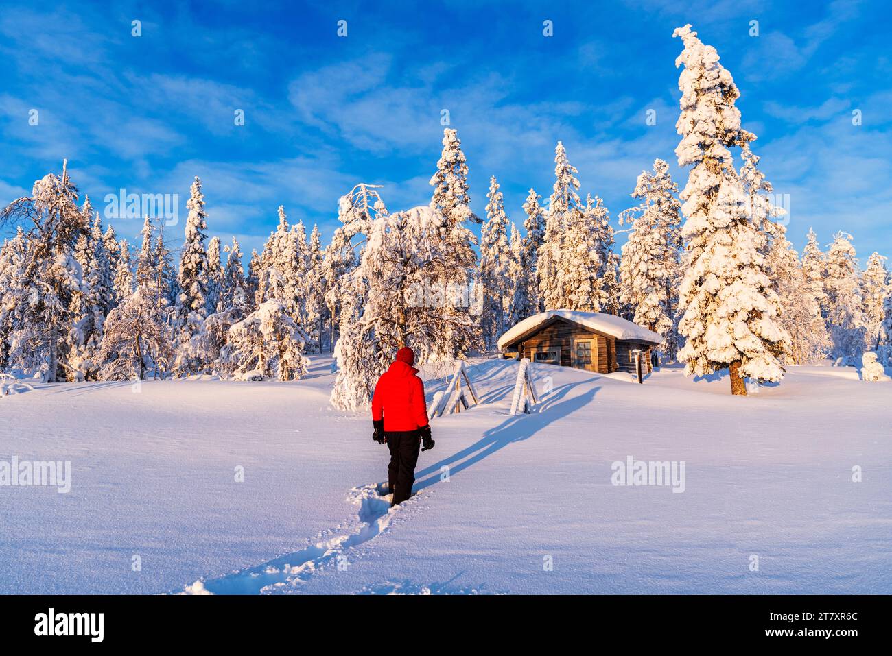 Person steht vor einer einsamen Berghütte unter schneebedeckten Bäumen, Schwedisch Lappland, Norrbotten, Schweden, Skandinavien, Europa Stockfoto