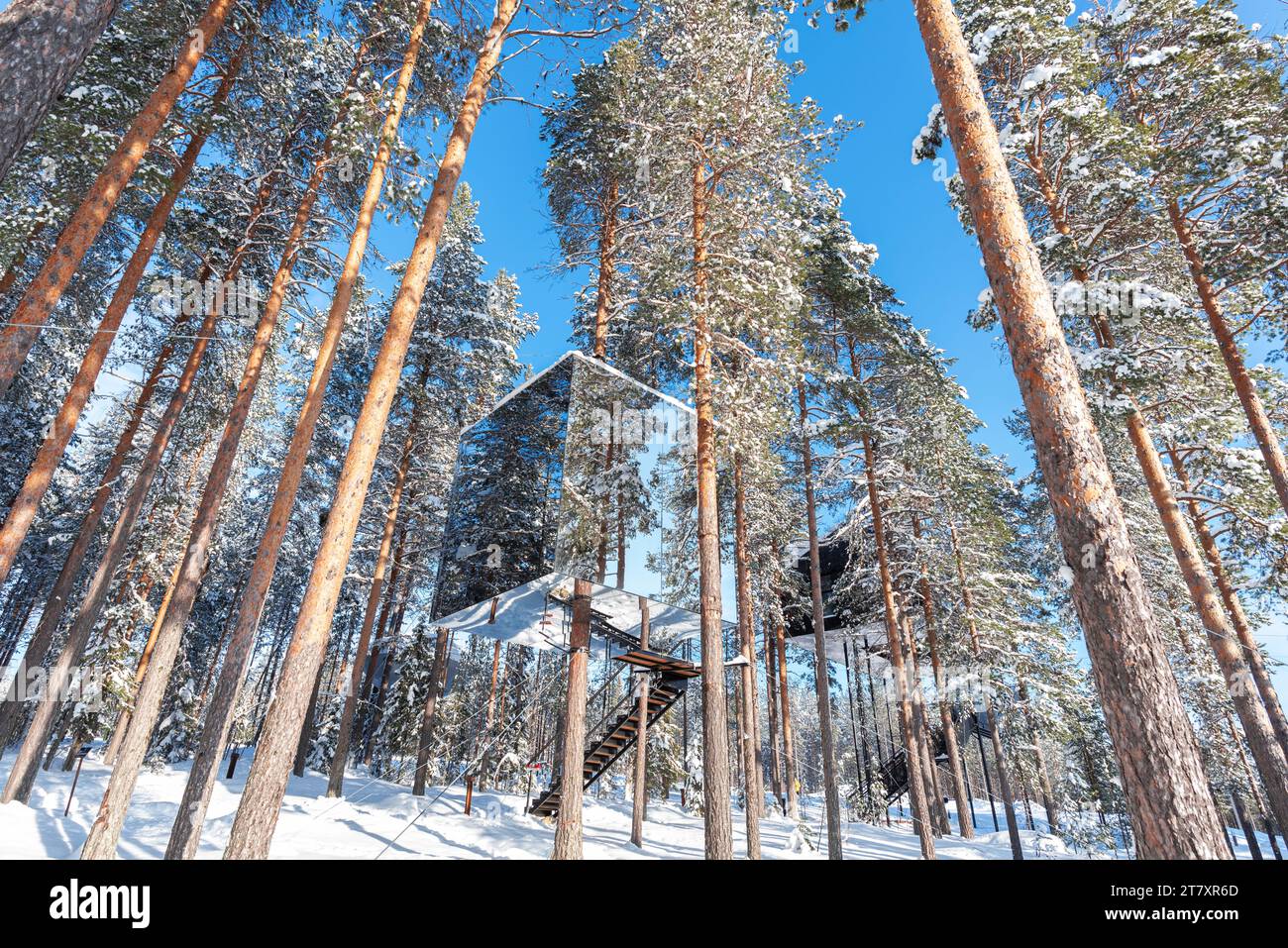 Würfelförmige Unterkunft in der eisigen Landschaft des Borealen Waldes, Tree Hotel, Harads, Lappland, Schweden, Skandinavien, Europa Stockfoto
