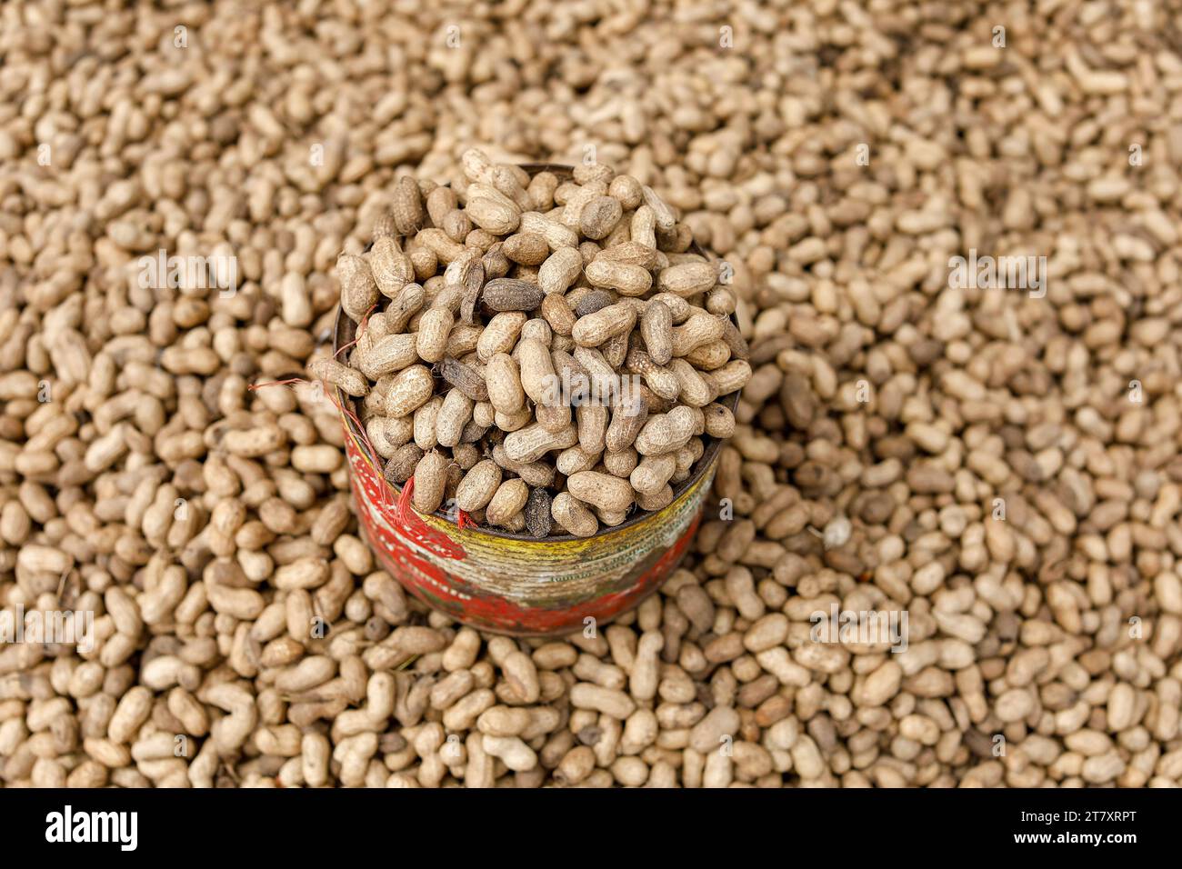 Erdnüsse zum Verkauf in Fatick, Senegal, Westafrika, Afrika Stockfoto