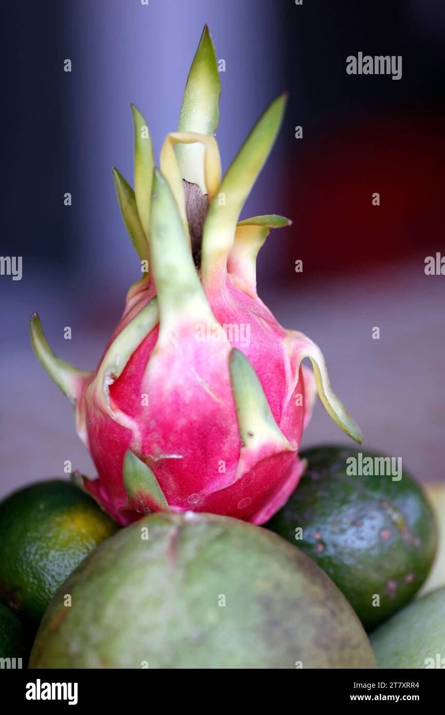 Buffet in einem Restaurant, frisches Obst und Drachenfrüchte, Dalat, Vietnam, Indochina, Südostasien, Asien Stockfoto