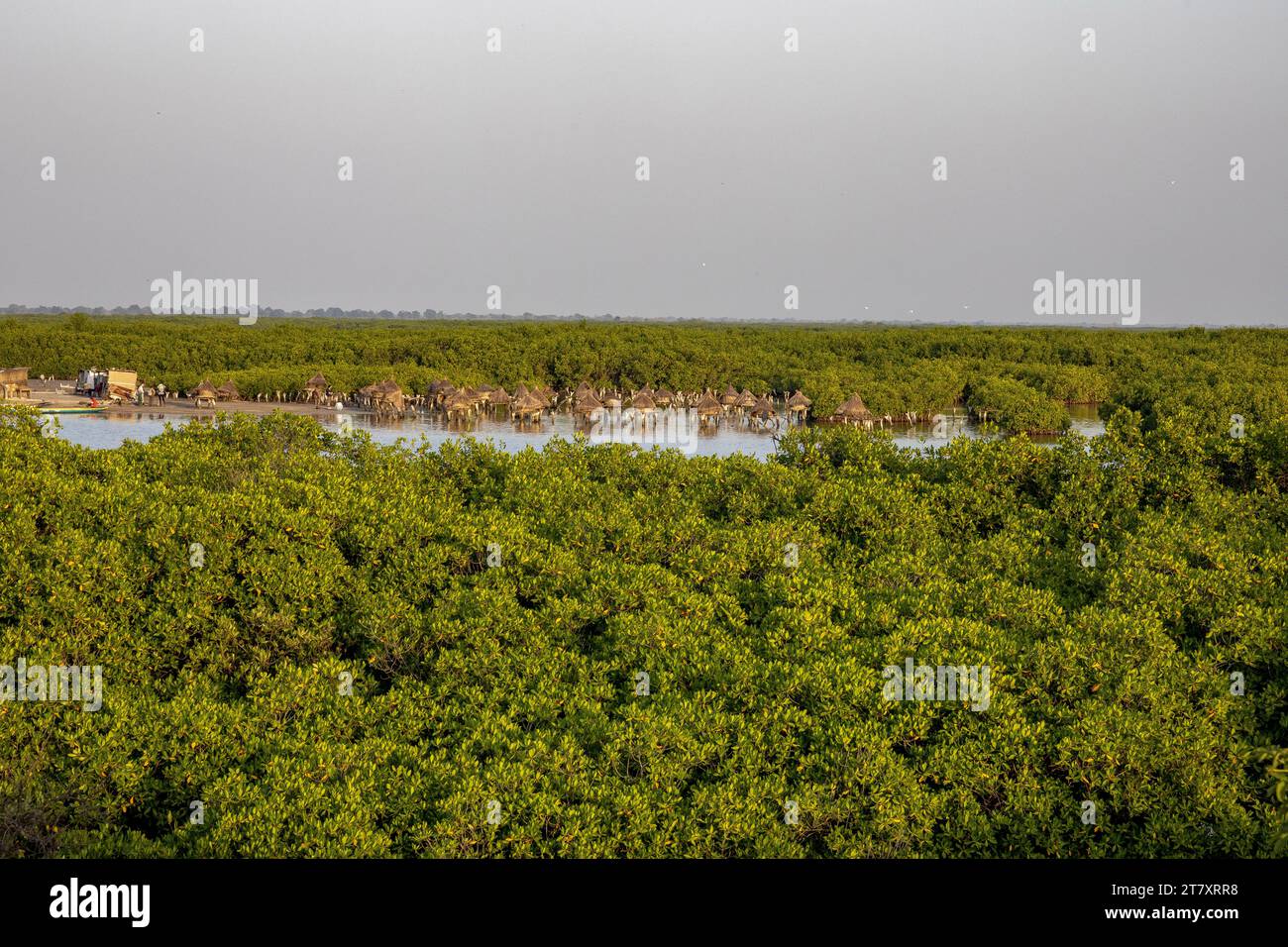 Alte Kornspeicher auf einer Insel zwischen Mangrovenbäumen, Joal-Fadiouth, Senegal, Westafrika, Afrika Stockfoto