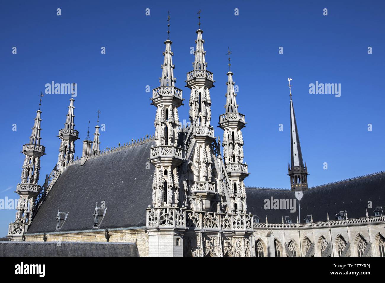 Stiftskirche St. Peter, Leuven, Flandern, Belgien, Europa Stockfoto