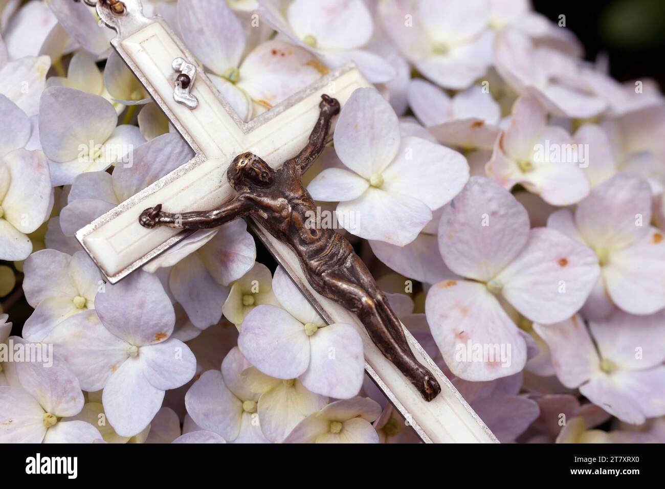 Gebet in der Natur, katholische Rosenkranzperlen mit Jesus auf Hortensie Blume, Vietnam, Indochina, Südostasien, Asien Stockfoto
