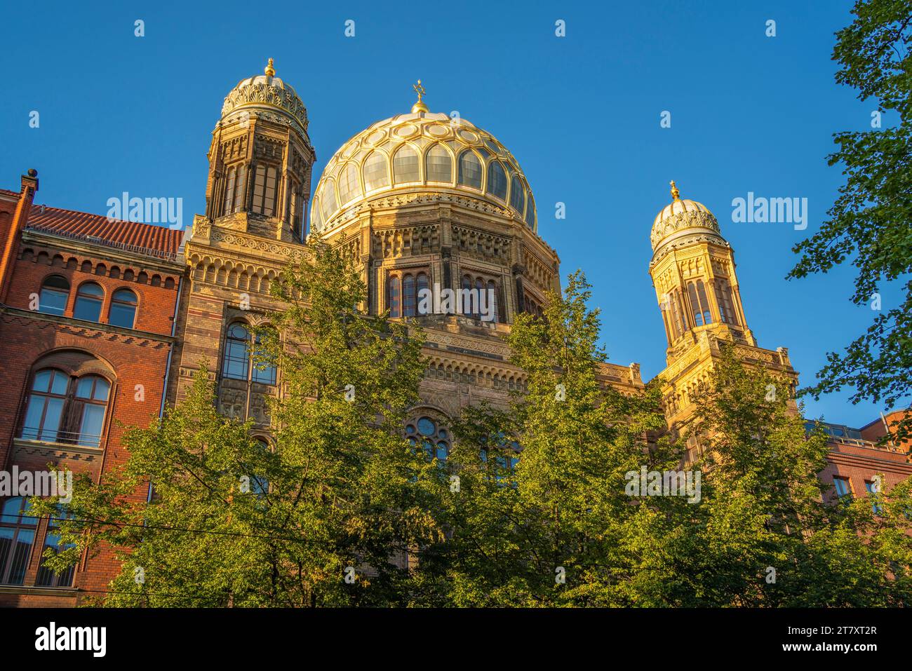 Blick auf die neue Synagoge Berlin-Centrum Judaicum in der Oranienburger Straße, Berlin-Mitte, Berlin, Deutschland, Europa Stockfoto