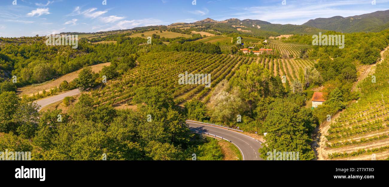 Erhöhter Blick auf die Weinberge in der Nähe von Borello, Emilia Romagna, Italien, Europa Stockfoto