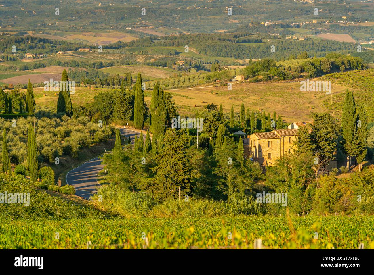 Blick auf Chaleau und Weinberge in der Nähe von San Gimignano, San Gimignano, Provinz Siena, Toskana, Italien, Europa Stockfoto