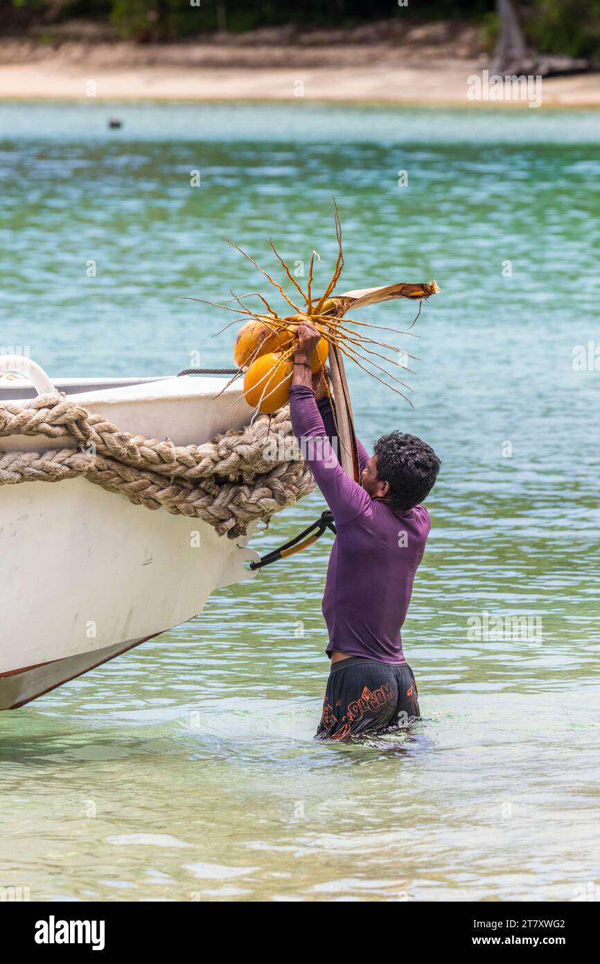 Ein einheimischer Mann, der Kokosnüsse in ein Boot in Batu Hatrim, Raja Ampat, Indonesien, Südostasien, Asien bringt Stockfoto