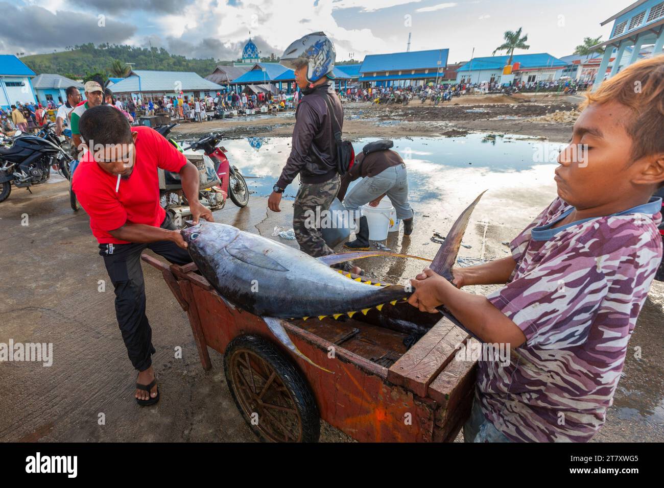 Händler, die frischen Fisch auf dem Fischmarkt in Sorong verkaufen, der größten Stadt der indonesischen Provinz im Südwesten Papua, Indonesien, Südostasien Stockfoto
