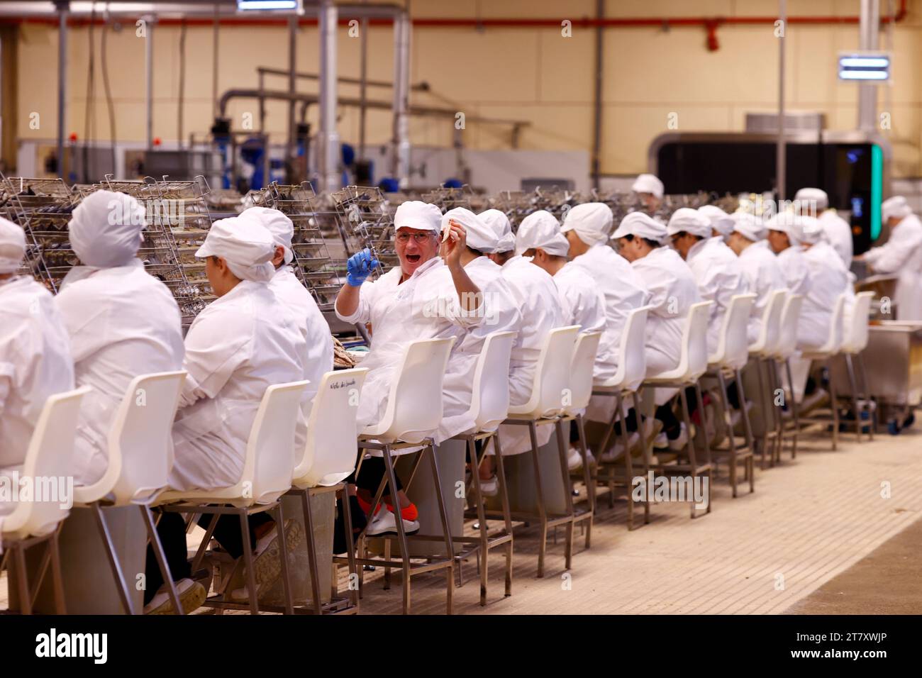 Frauen bei der Arbeit, Pinhais, eine der ältesten Dosenfischindustrie, Matosinhos, Portugal, Europa Stockfoto