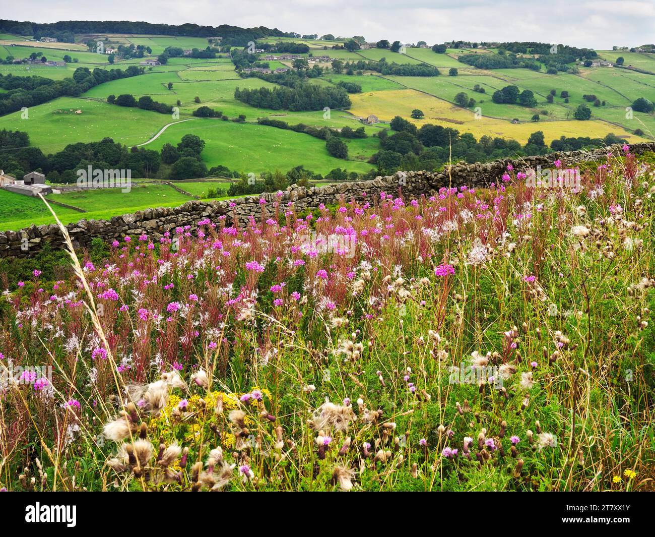 Das Worth Valley in der Nähe von Haworth, Yorkshire, England, Großbritannien, Europa Stockfoto