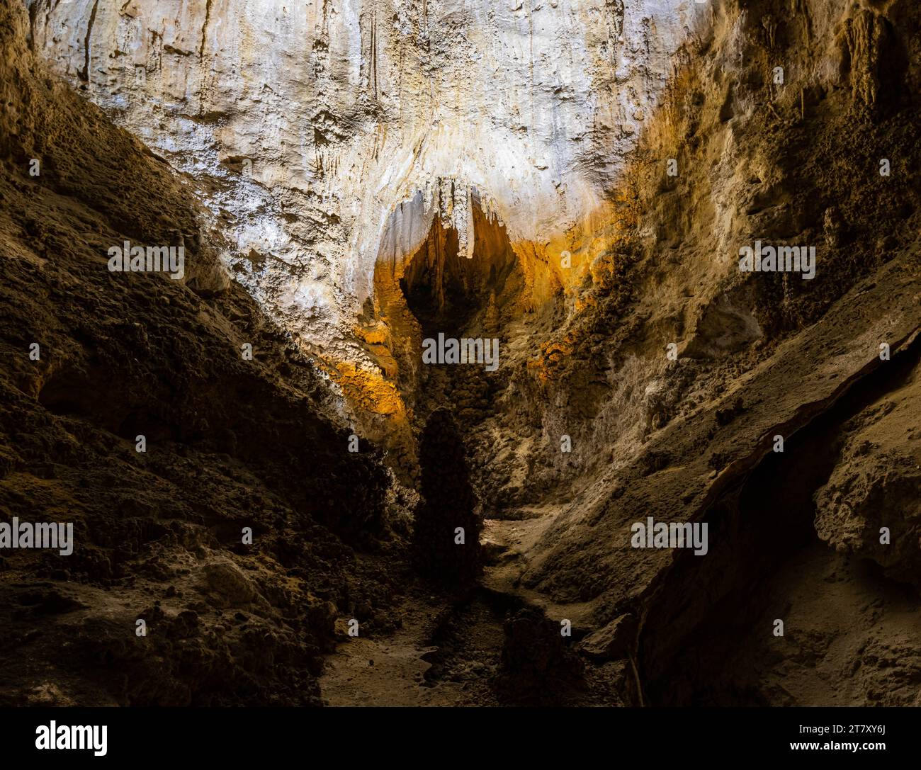 Höhlenformationen im Big Room Carlsbad Caverns National Park, New Mexico, USA Stockfoto