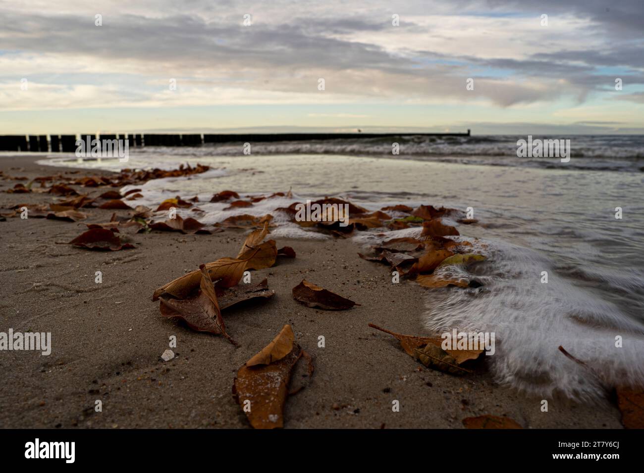 Strand - Schutz am Wasser - Erosion - Wellenbrecher und Klippen Stockfoto